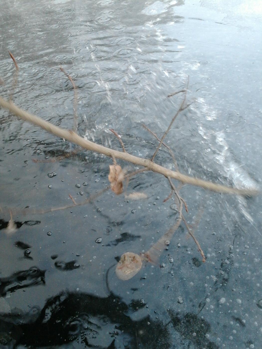 2013-04-20_18.53.44.jpg