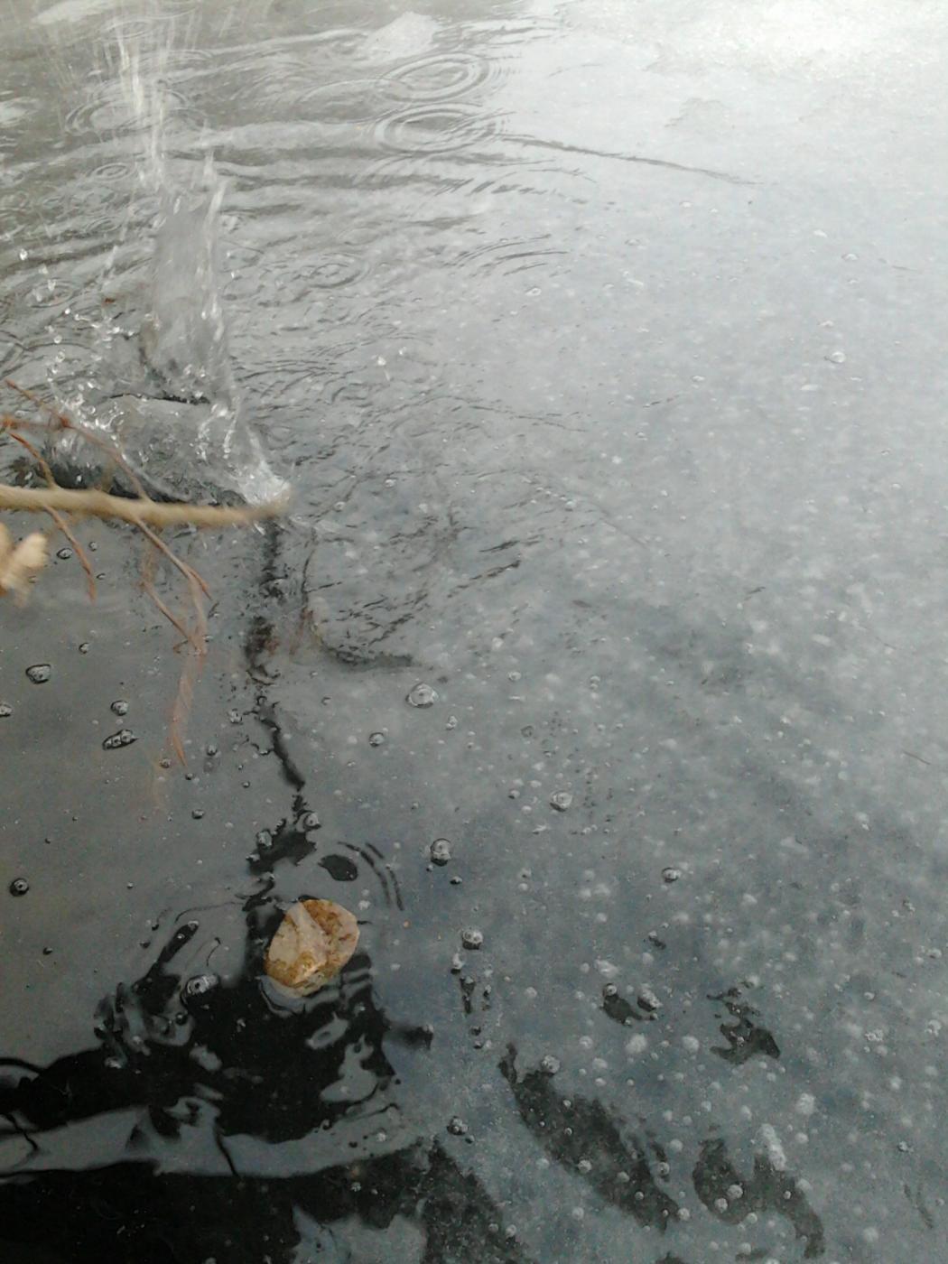2013-04-20_18.53.46.jpg