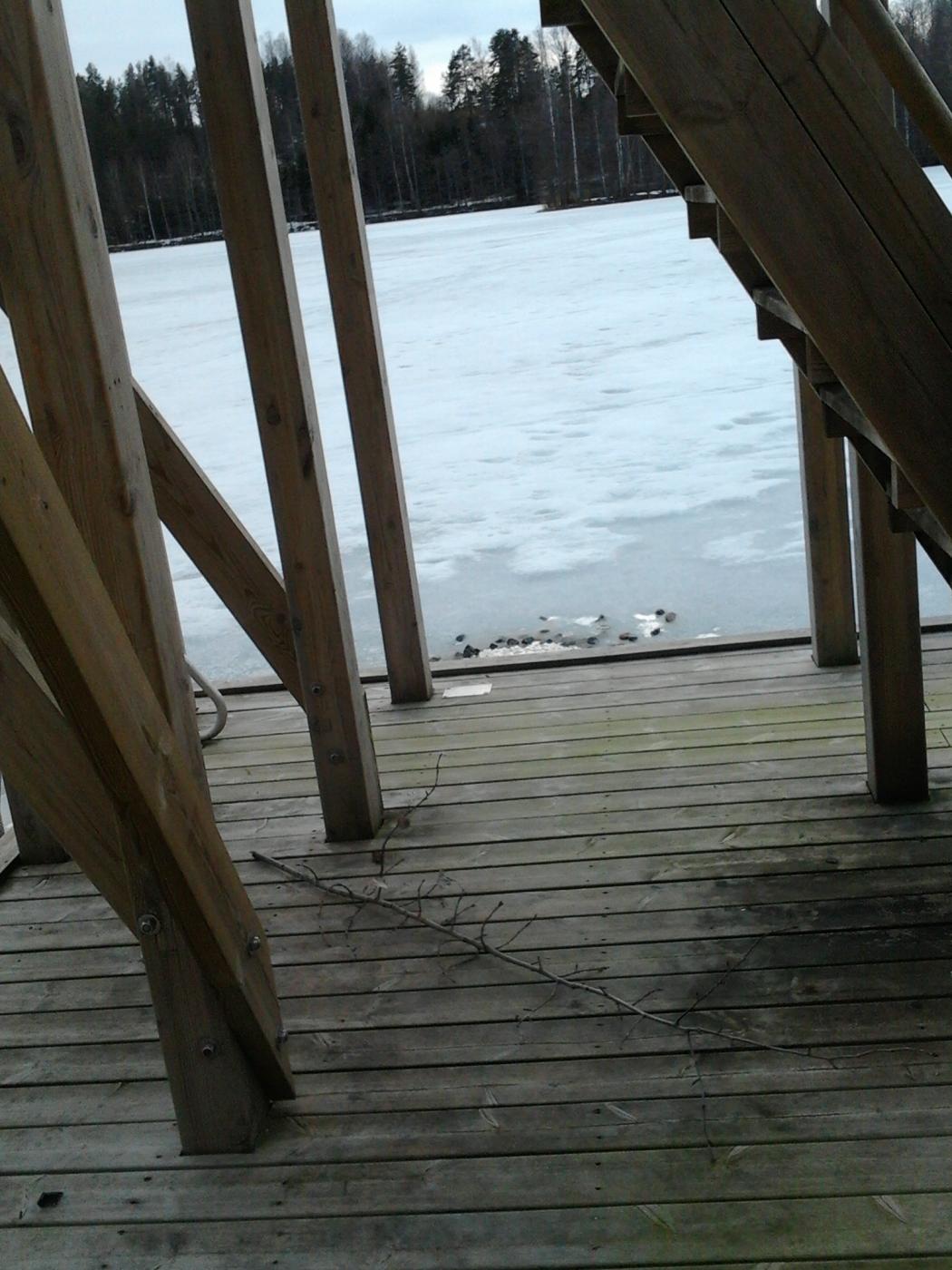 2013-04-20_18.57.22.jpg