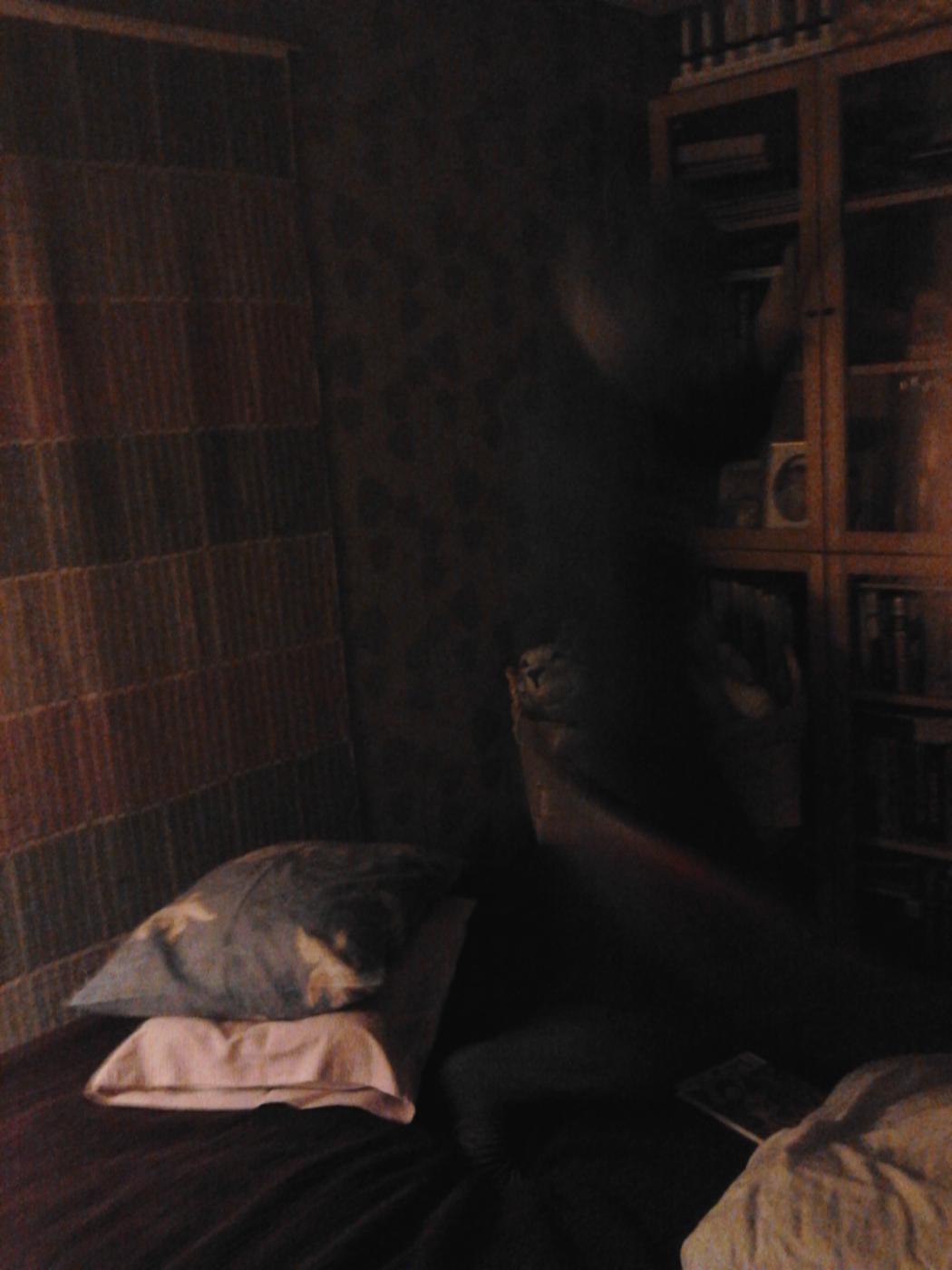 2013-04-20_22.20.48.jpg