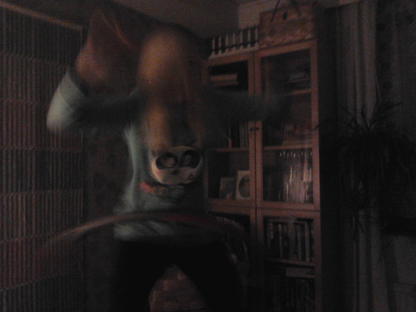 2013-04-20_22.21.31.jpg