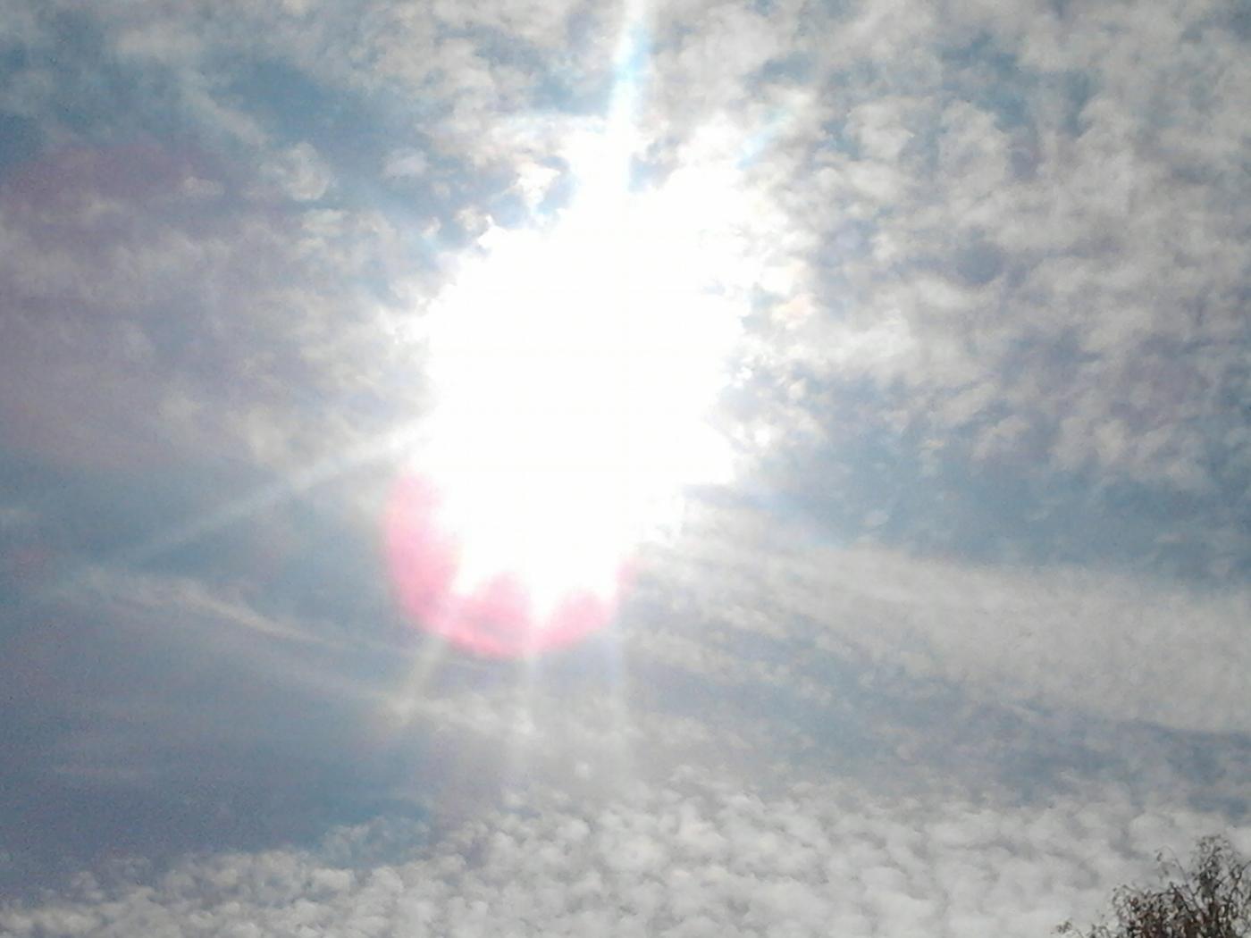 2013-05-12_12.59.52.jpg