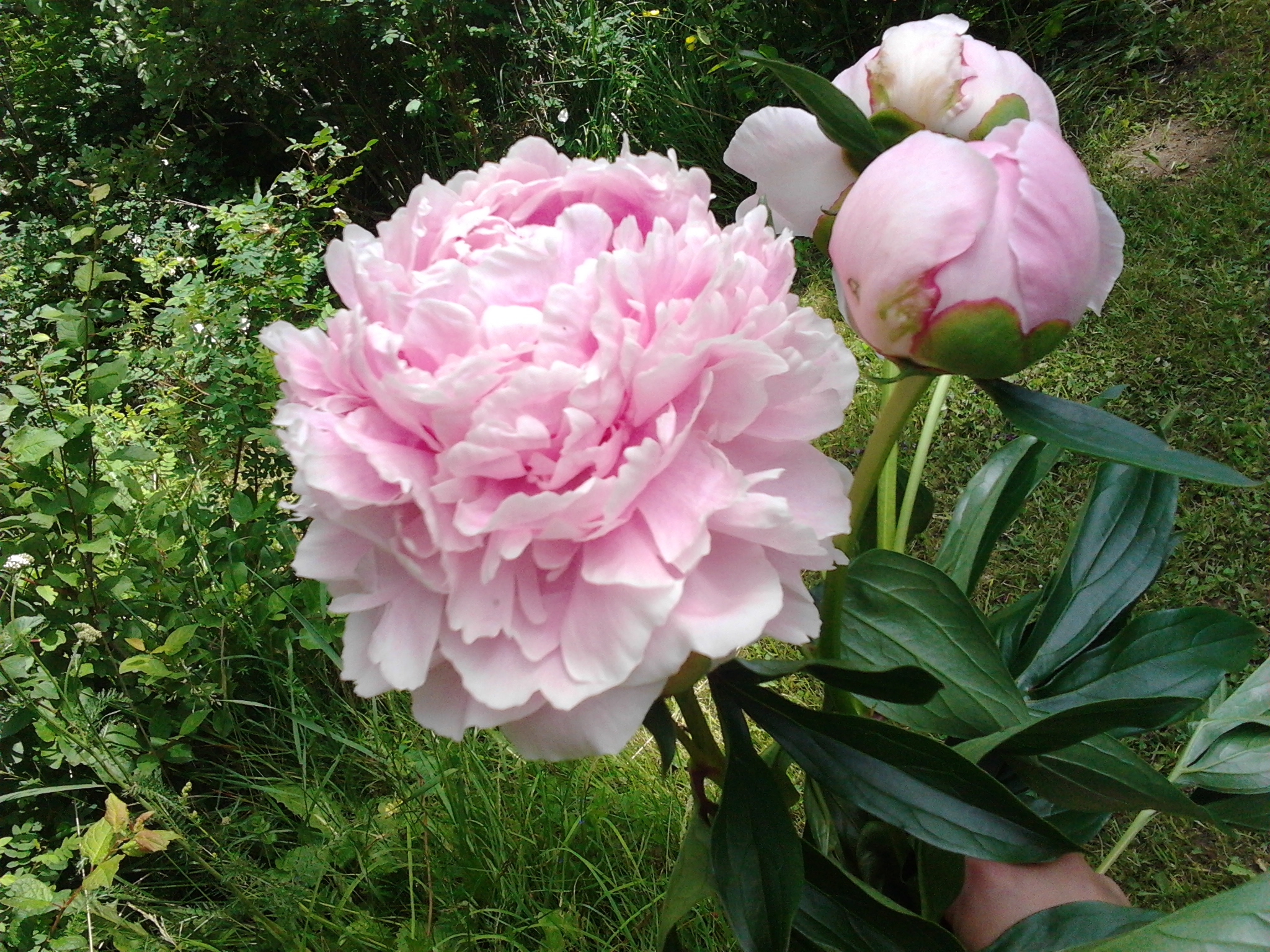 2013-06-21_13.22.58.jpg