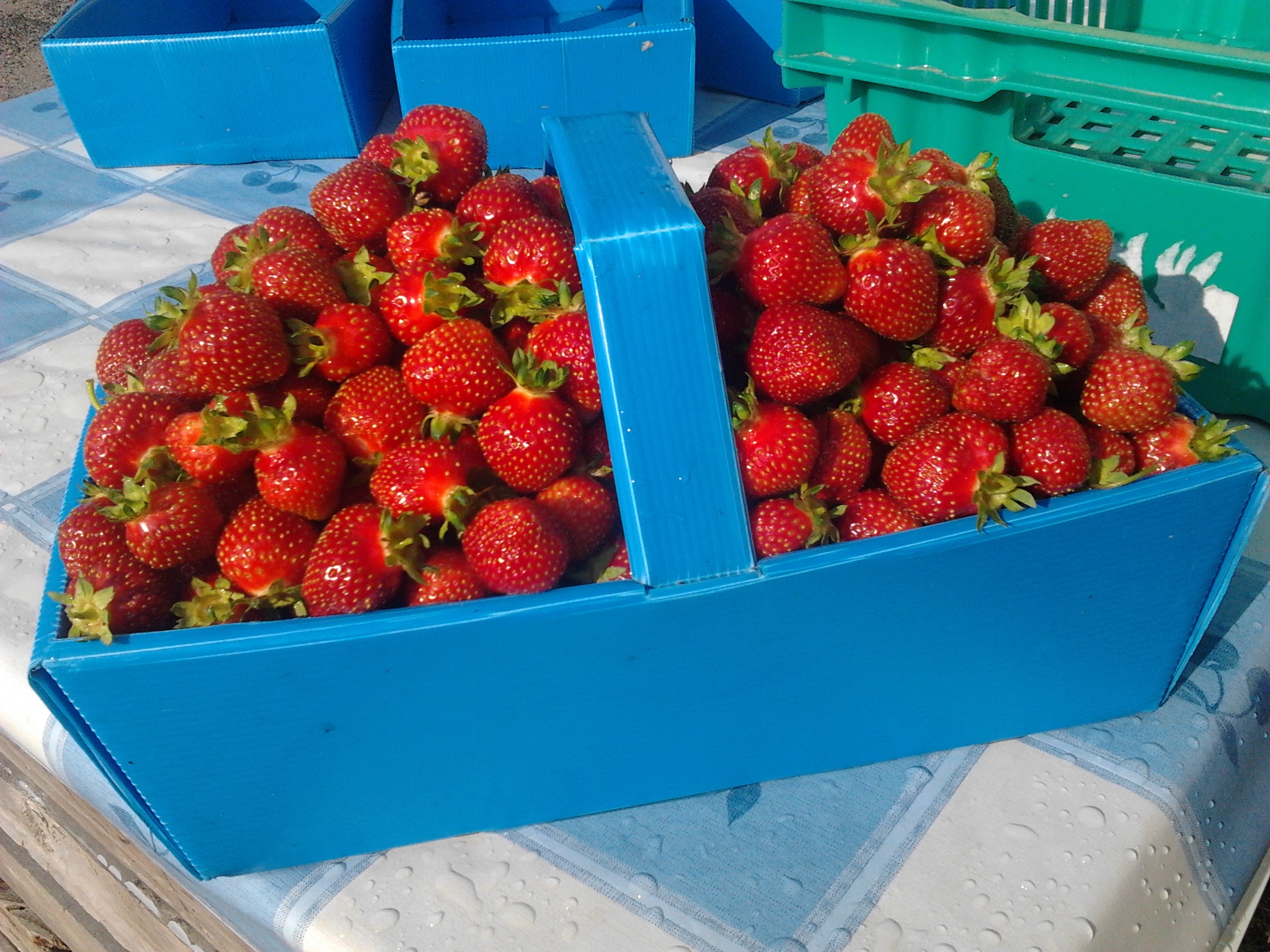 2013-06-28_08.50.41.jpg