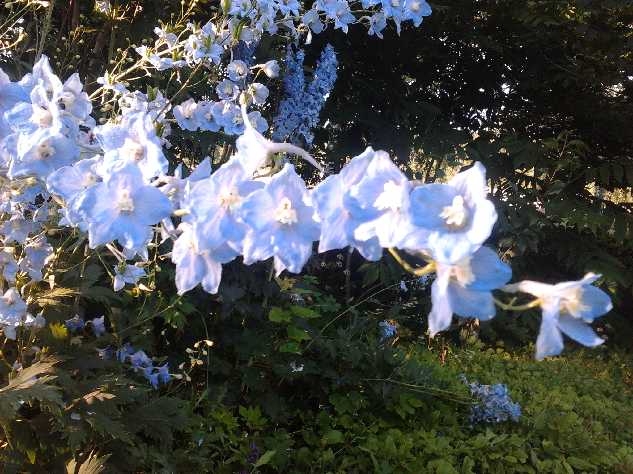 2013-07-07_20.15.15.jpg