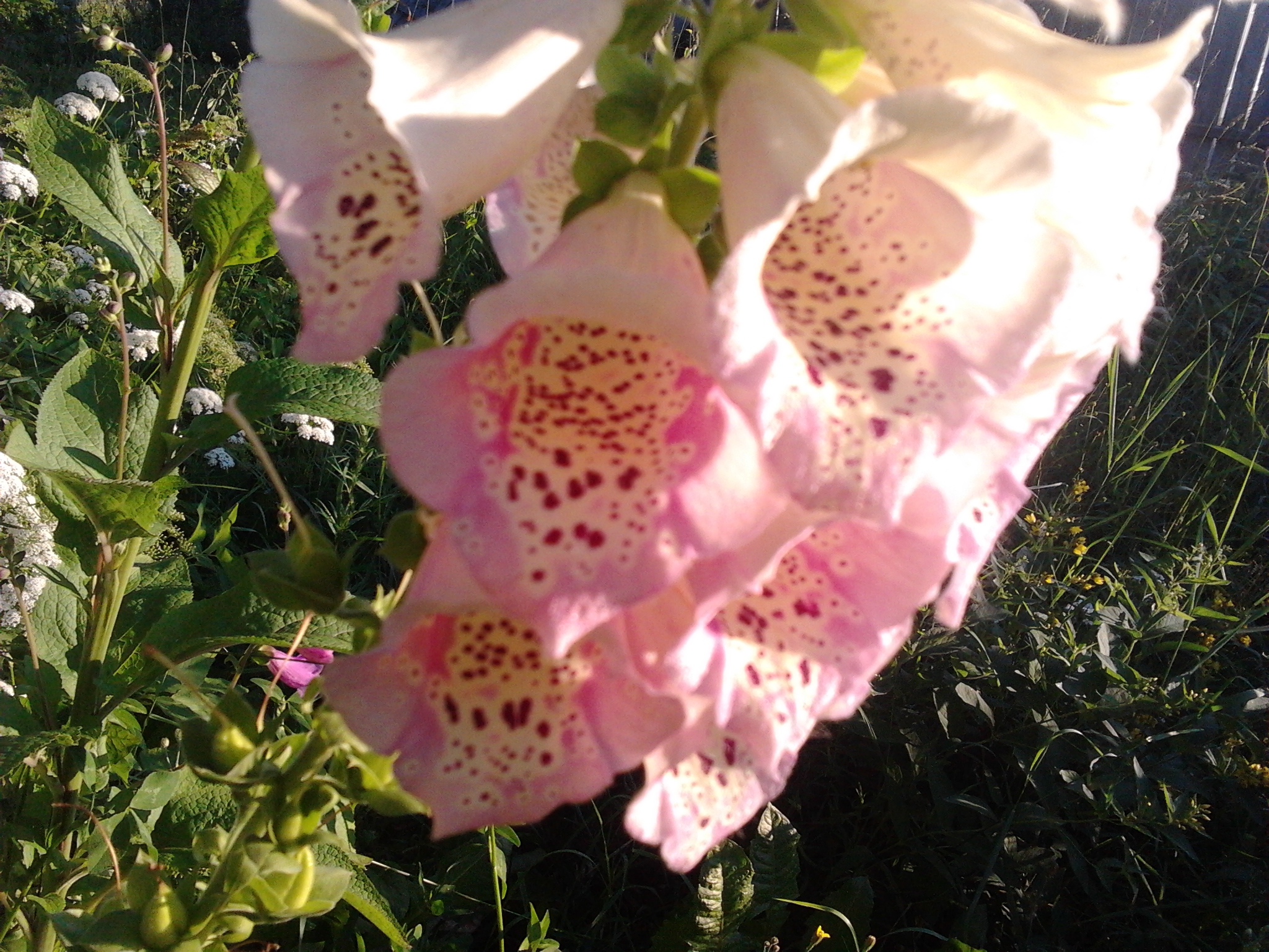 2013-07-07_20.16.52.jpg