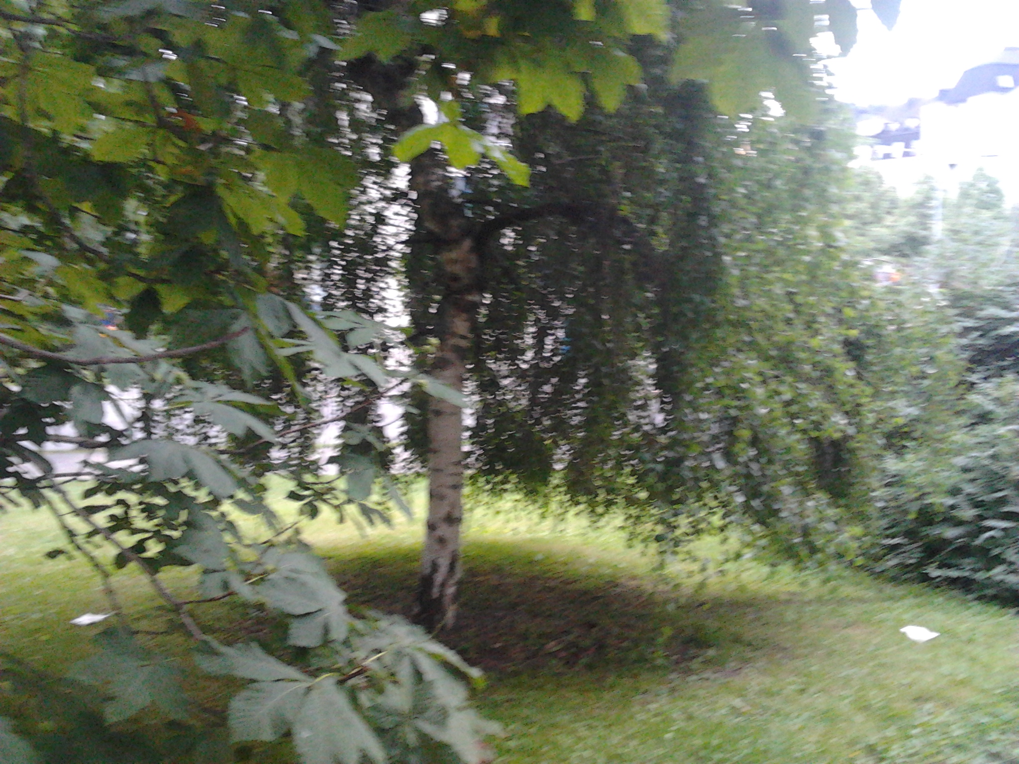 2013-07-14_19.34.22_0.jpg