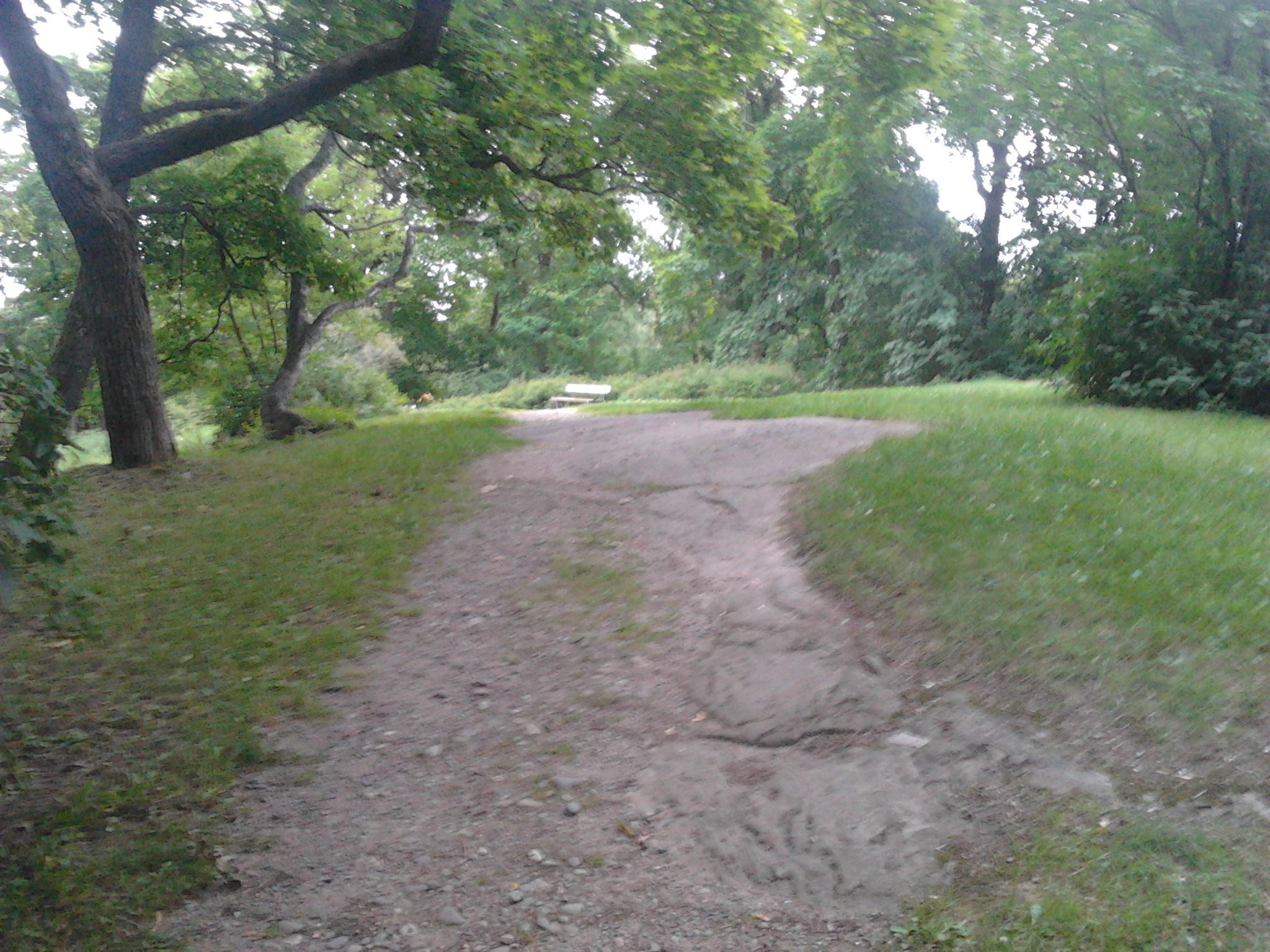 2013-07-14_19.35.36.jpg