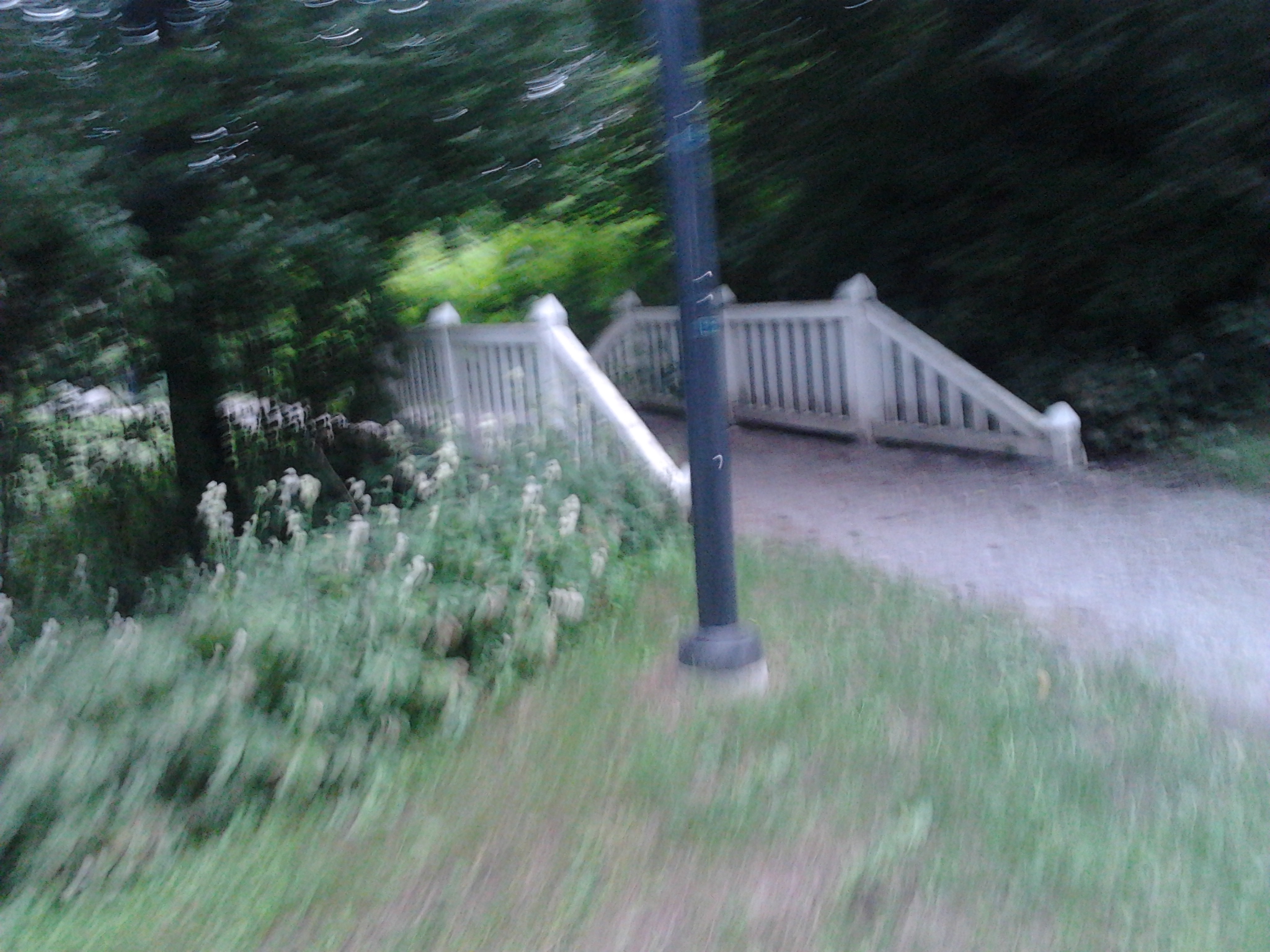 2013-07-14_19.44.19.jpg