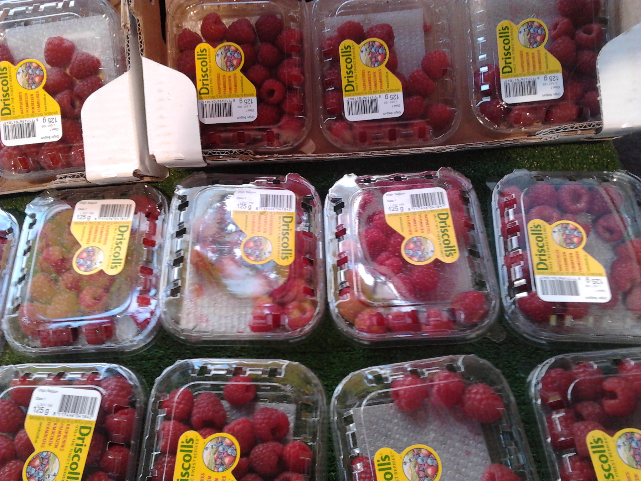 2013-07-27_14.56.46.jpg