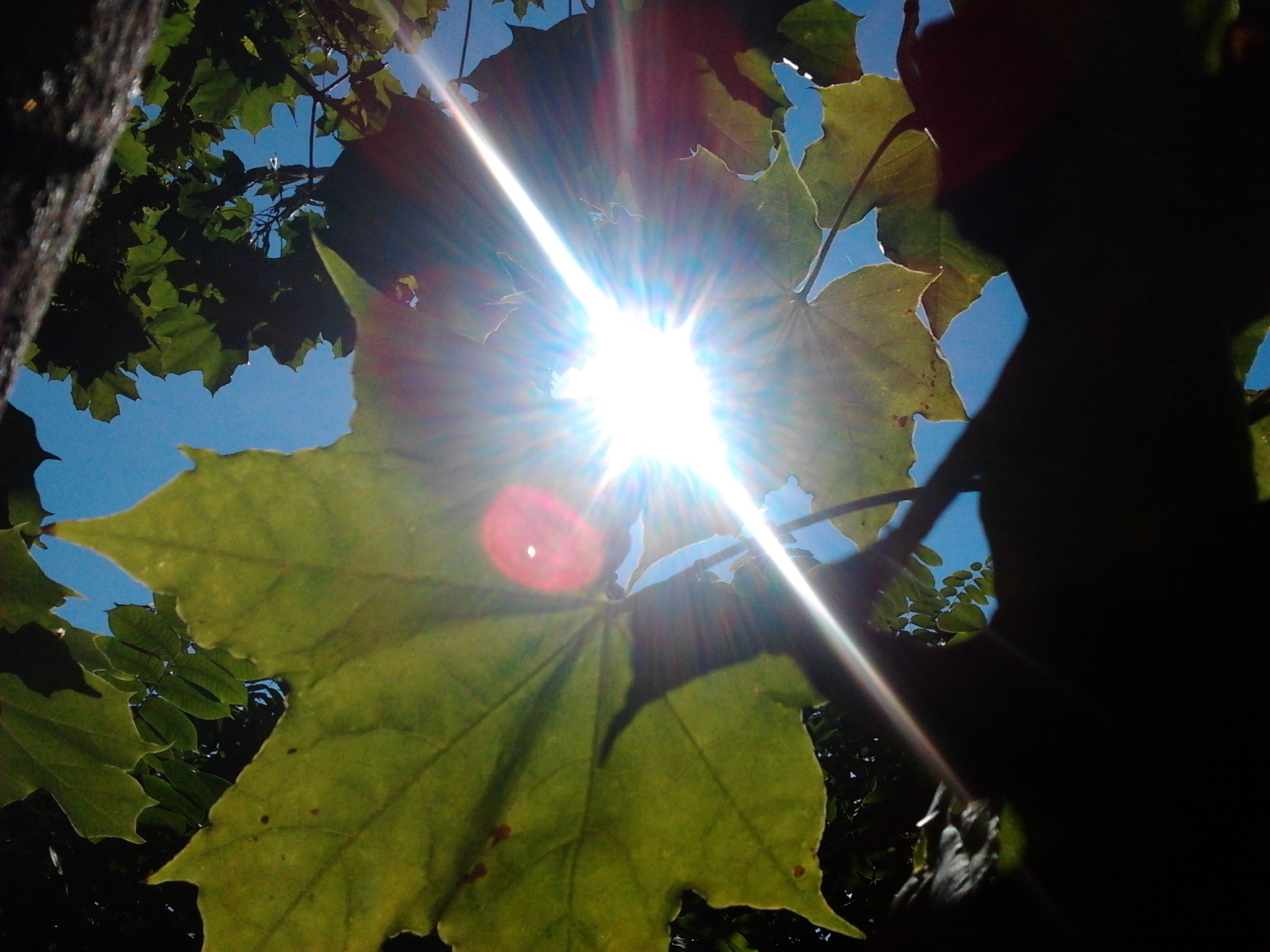2013-09-07_12.21.08.jpg