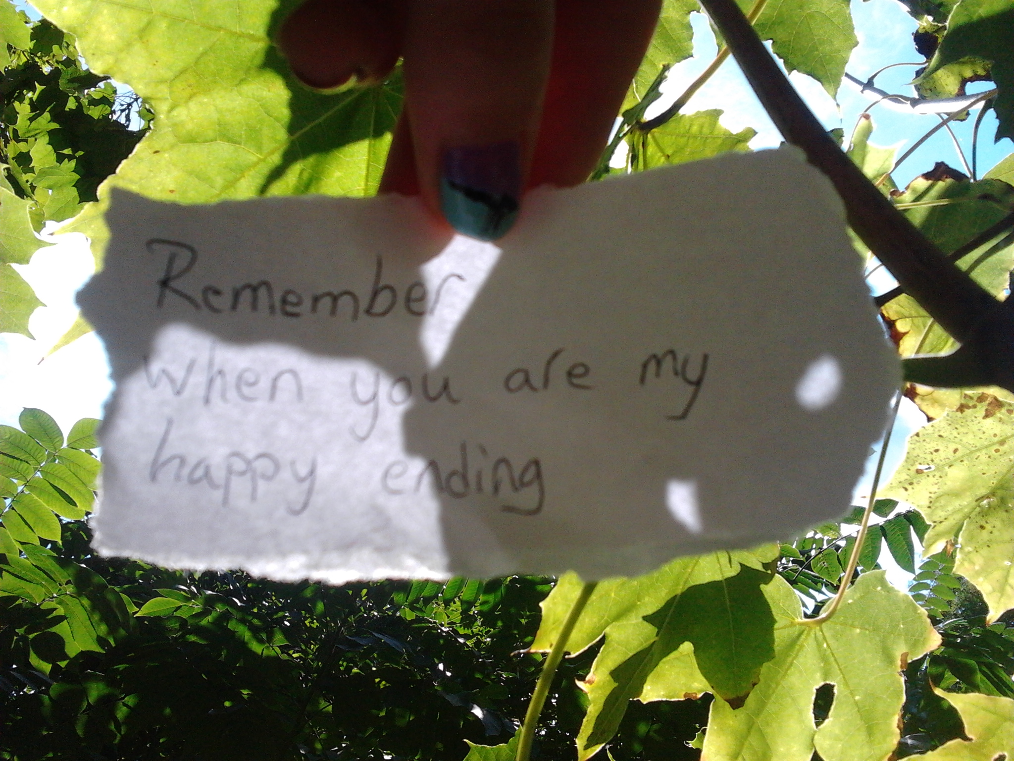 2013-09-07_12.53.46.jpg