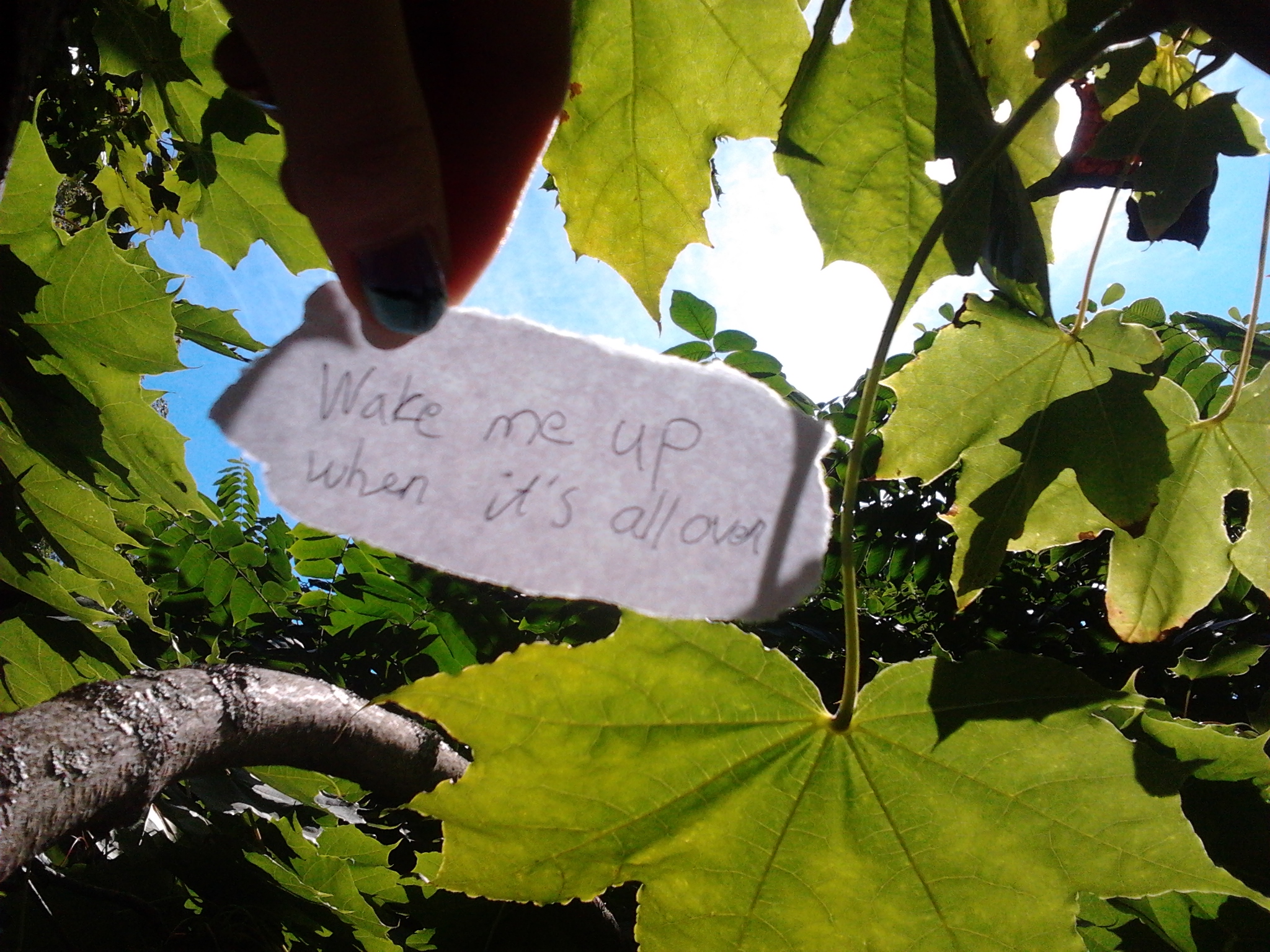 2013-09-07_12.56.43.jpg