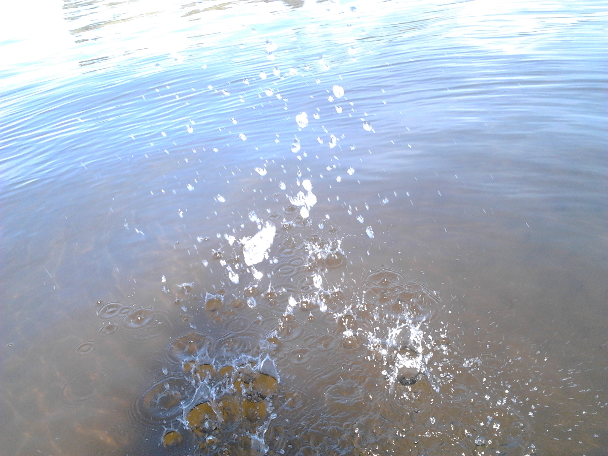 2013-09-07_13.09.12.jpg