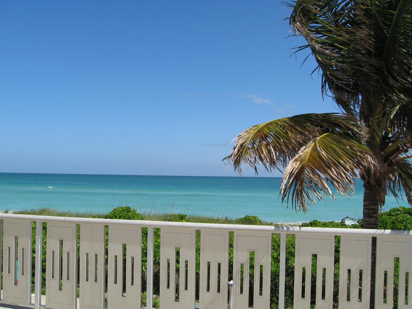 img_6041.jpg img_6041.jpg