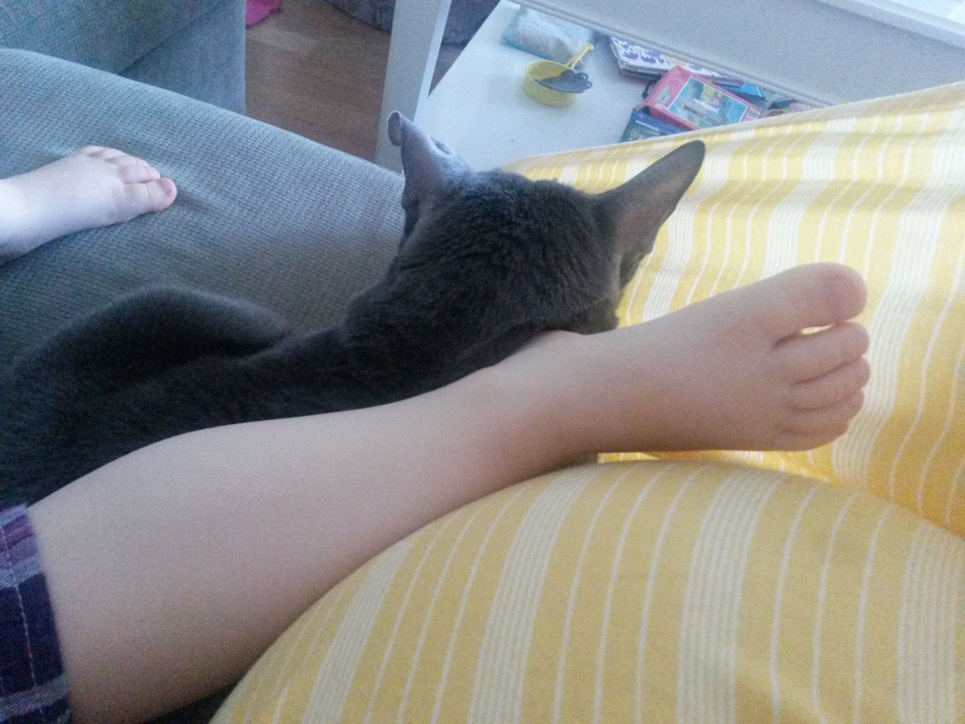20150424_065535.jpg