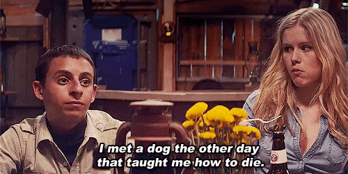 kingsofsummerdog_0.gif