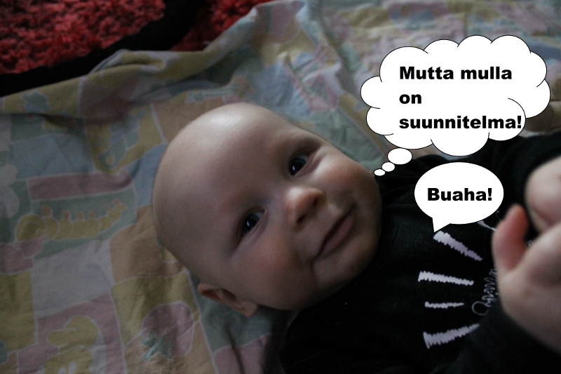 img_8719_800x533_2.jpg