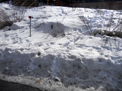 dscn1273.jpg