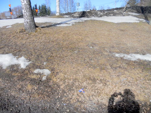 dscn1274.jpg