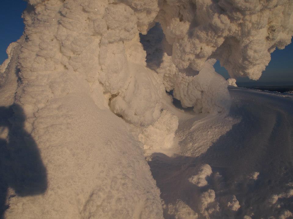 16299_10151361838267669_782048492_n.jpg
