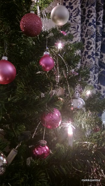 1-WP_20131221_020.jpg