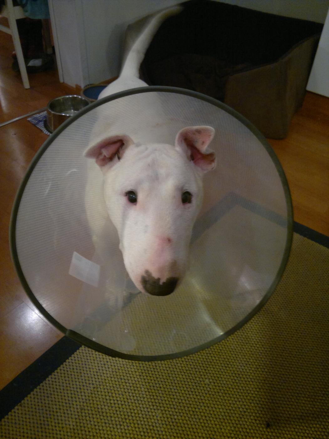 2012-11-07-204.jpg 2012-11-07-204.jpg