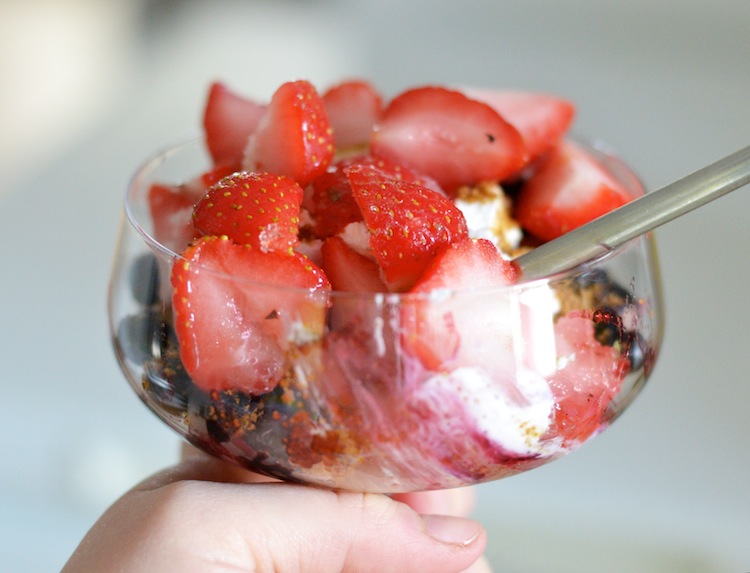 kookosjogurtti_maidotonjogurtti_dairyfree_coconutyoghurt015.jpg