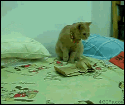 tumblr_m9605t2kln1rbw6bto1_400.gif