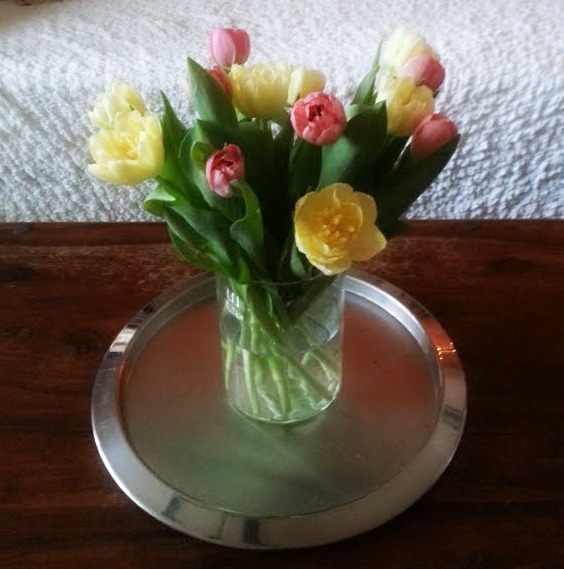 tulipsmuok.jpg