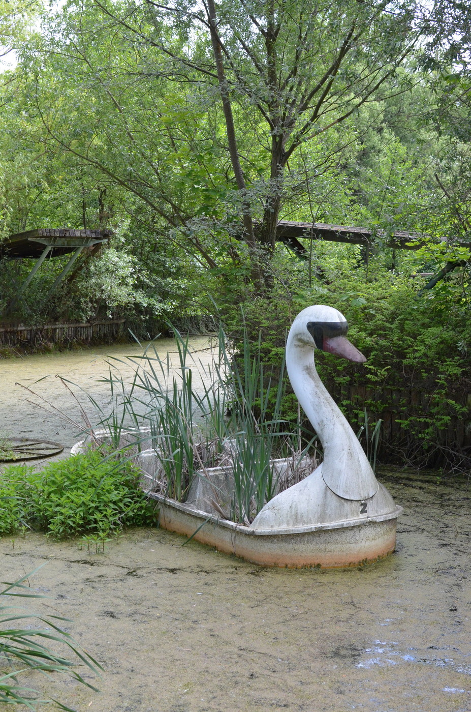 DSC_0729.jpg