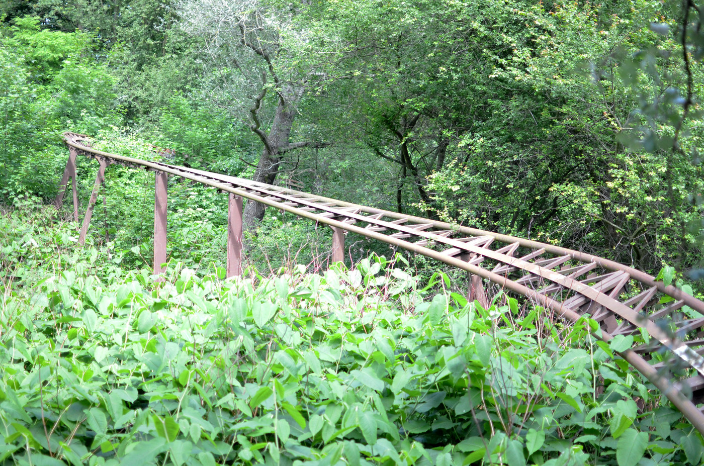 Spreepark4.jpg