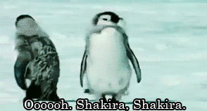 shakira.gif