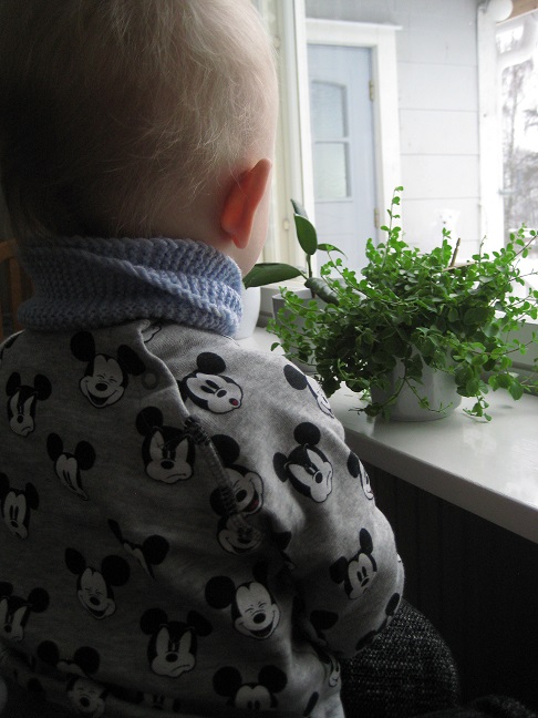 img_3246_paint.jpg img_3246_paint.jpg