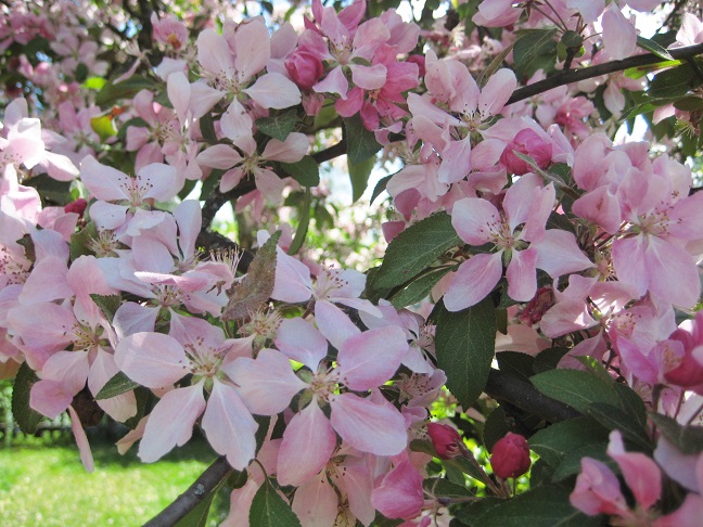 IMG_4189_paint.jpg