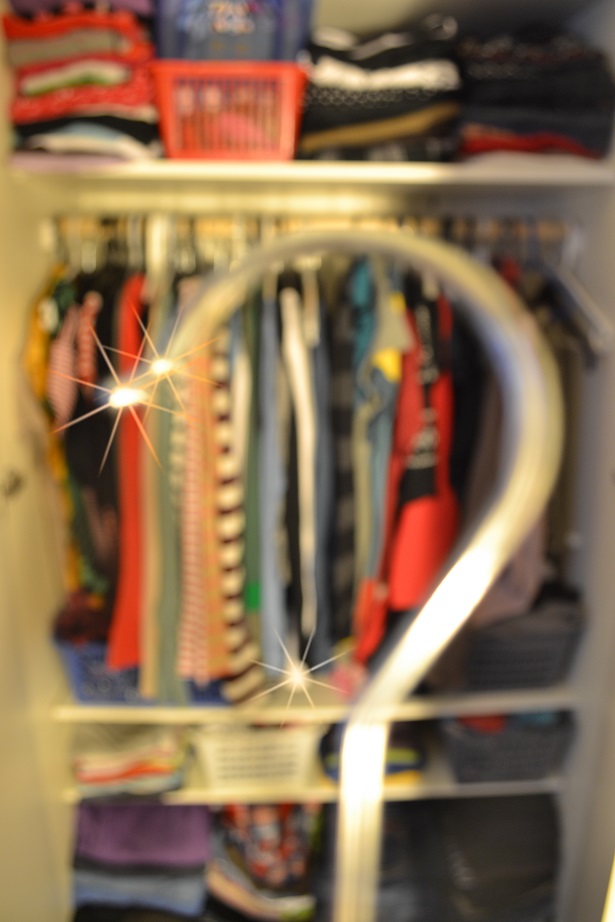 csc_3146.jpg