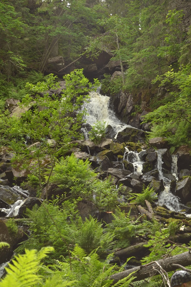 DSC_3405.jpg