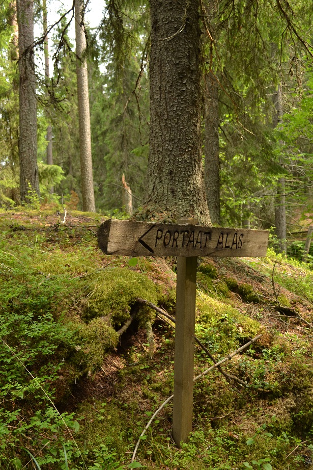 DSC_3466.jpg
