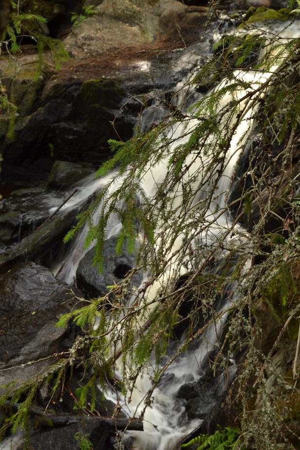 DSC_3477.jpg