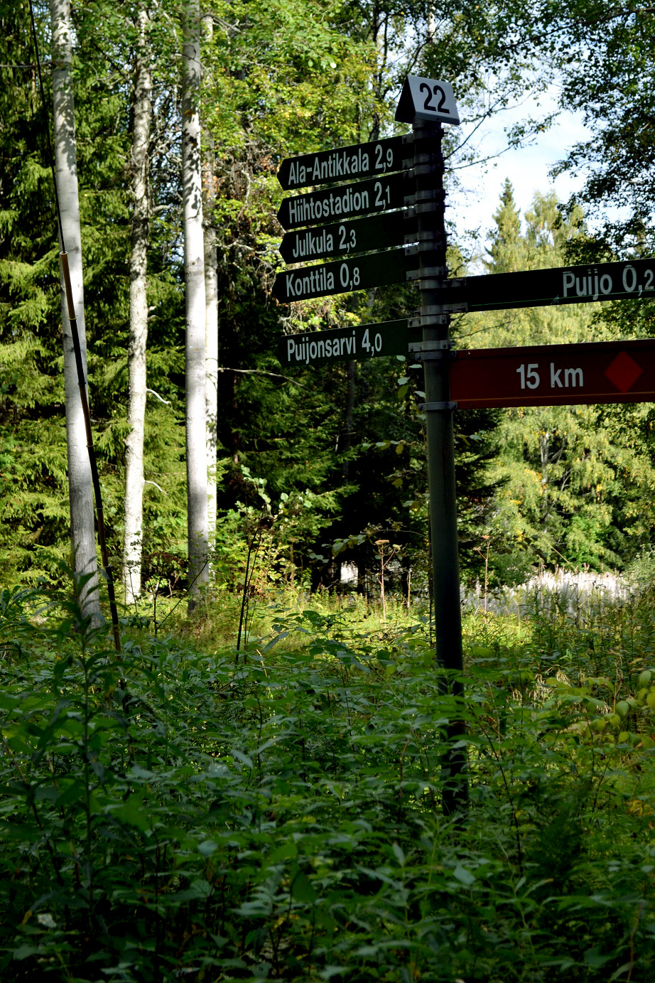 DSC_7022.jpg