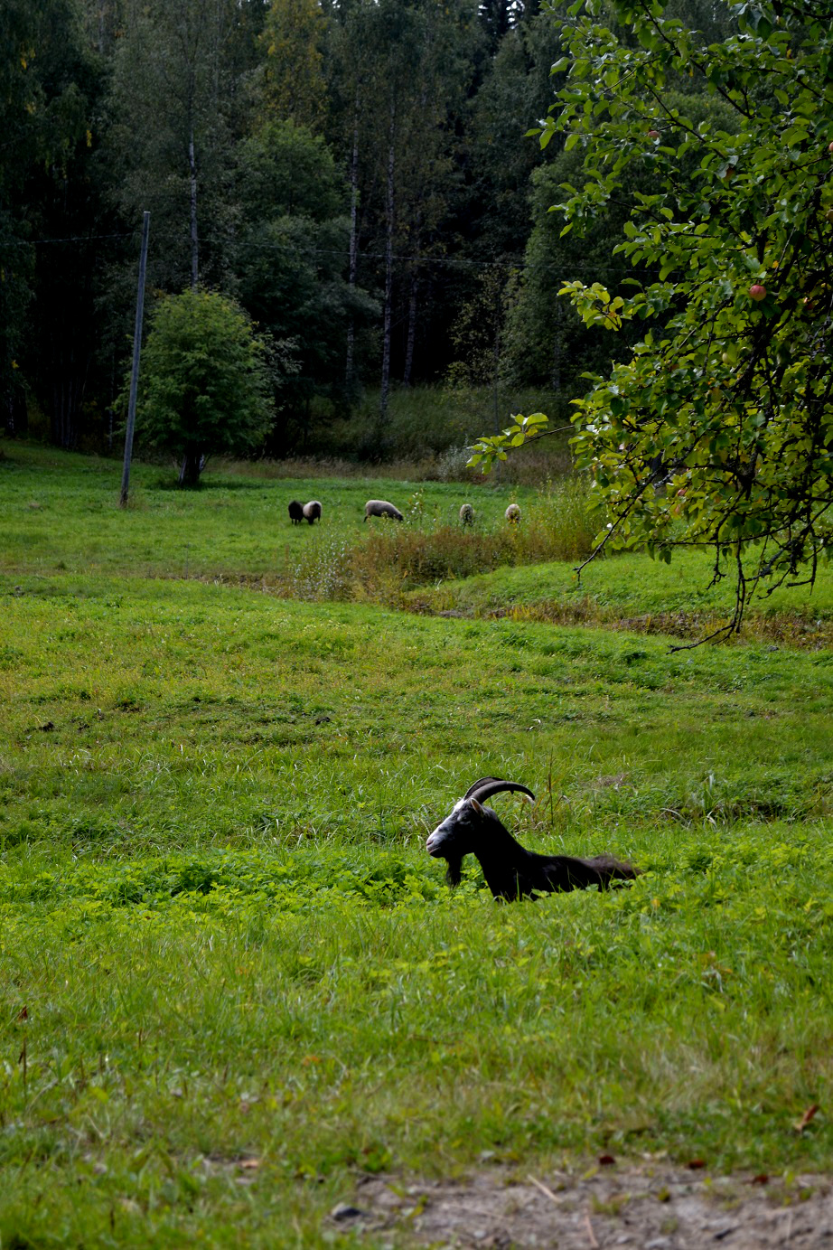 DSC_7062.jpg