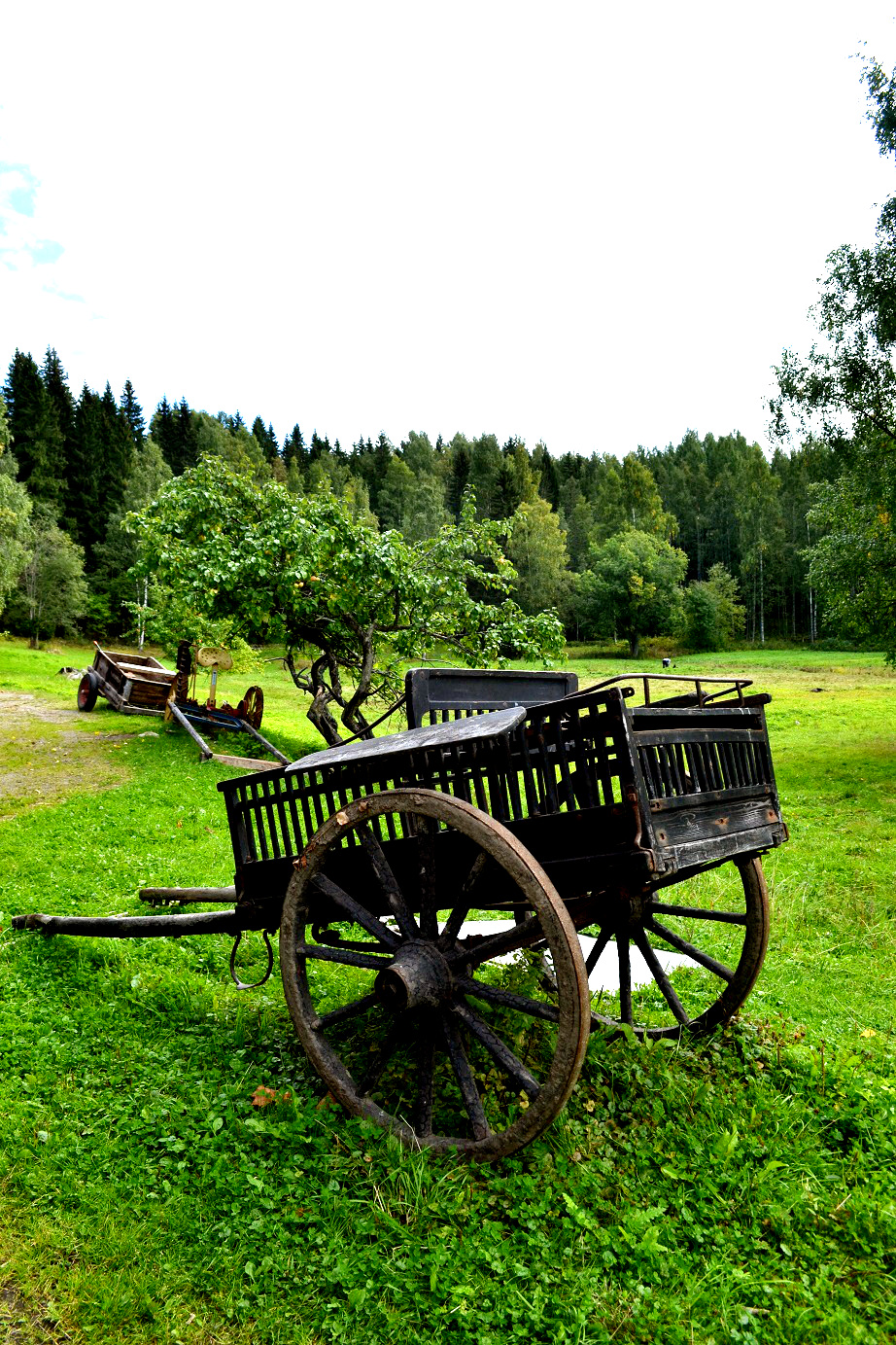 DSC_7080.jpg