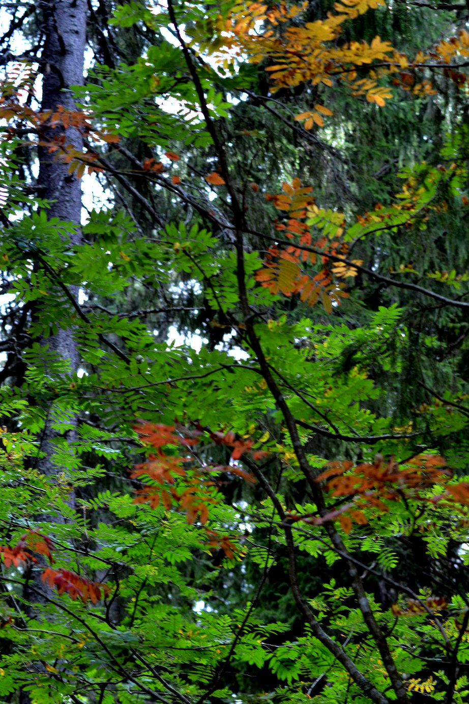 dsc_7167_0.jpg
