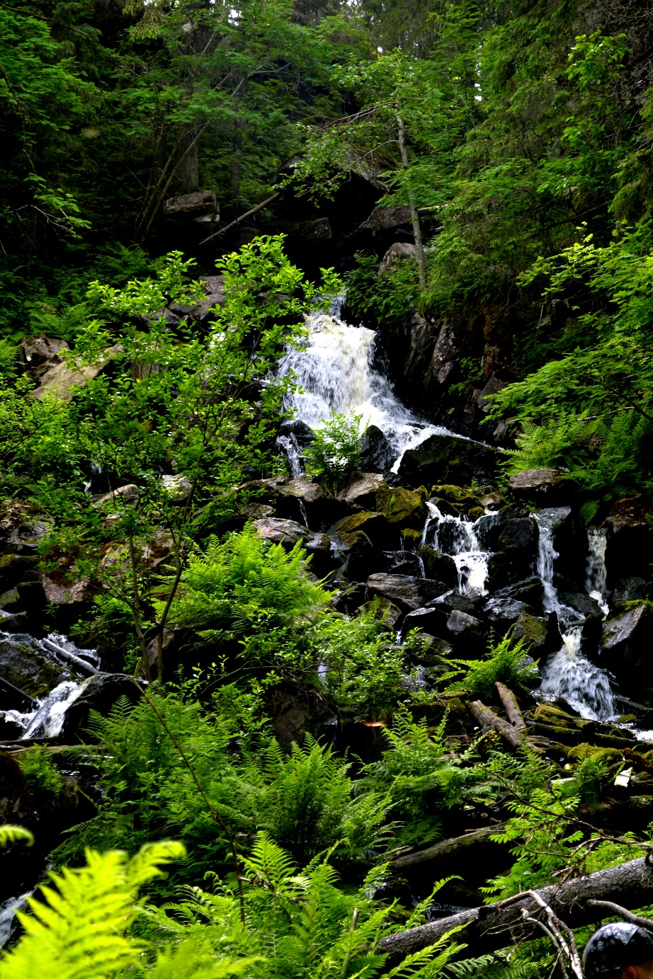 DSC_3405.JPG