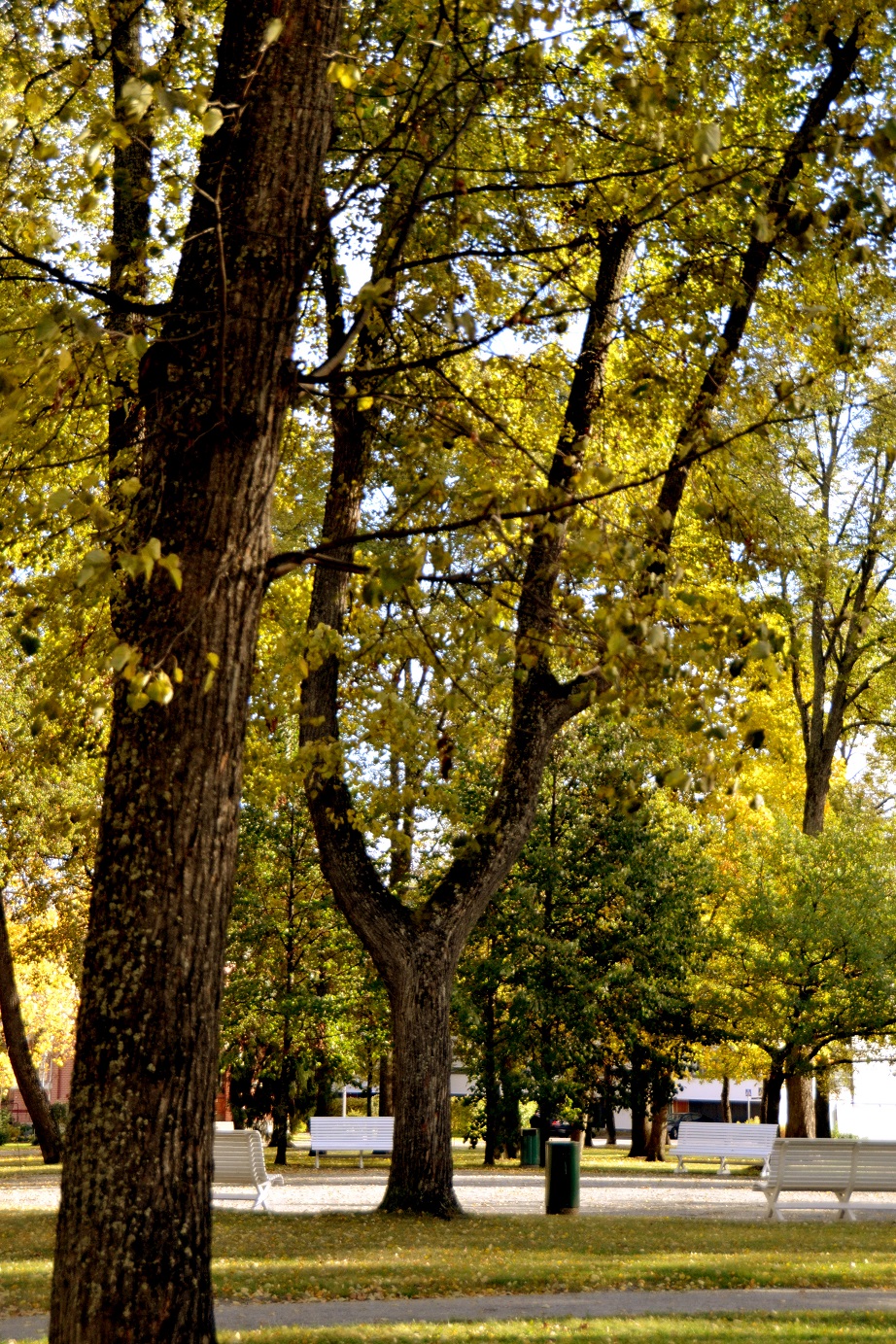 DSC_8330.JPG