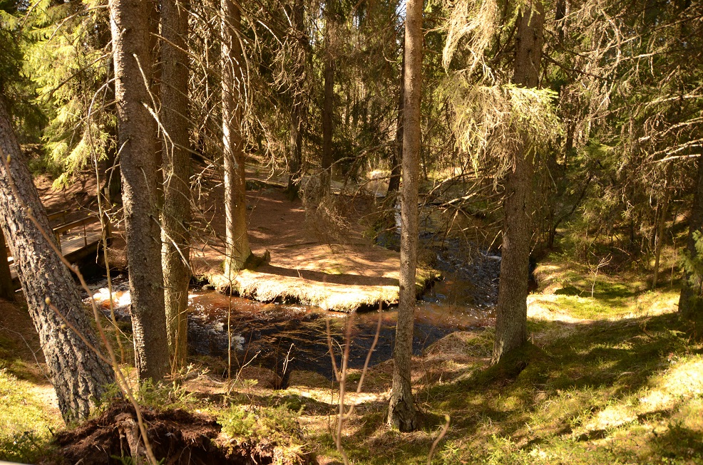 KMN_7025.JPG