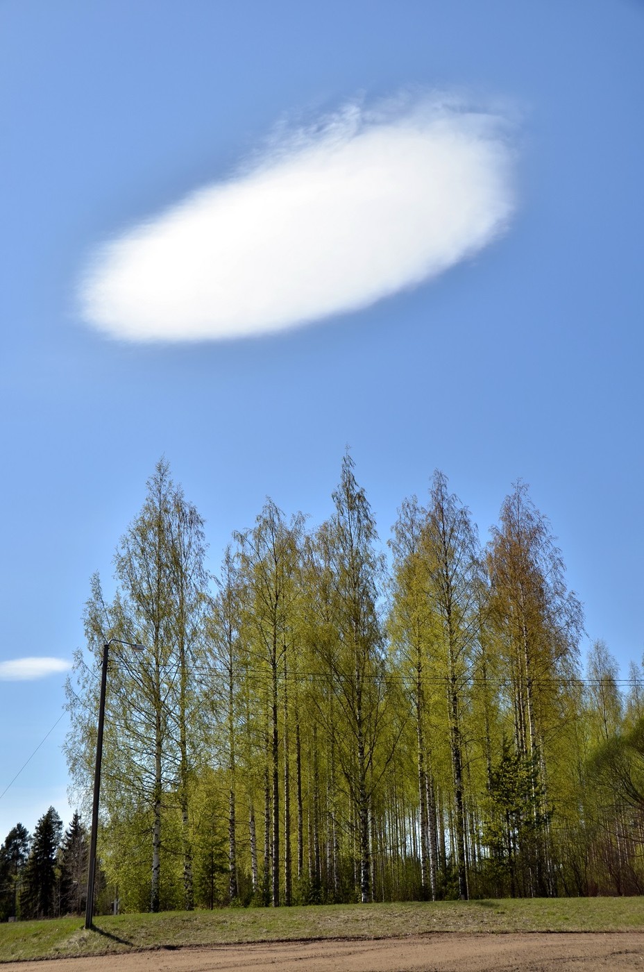 KMN_7183.JPG