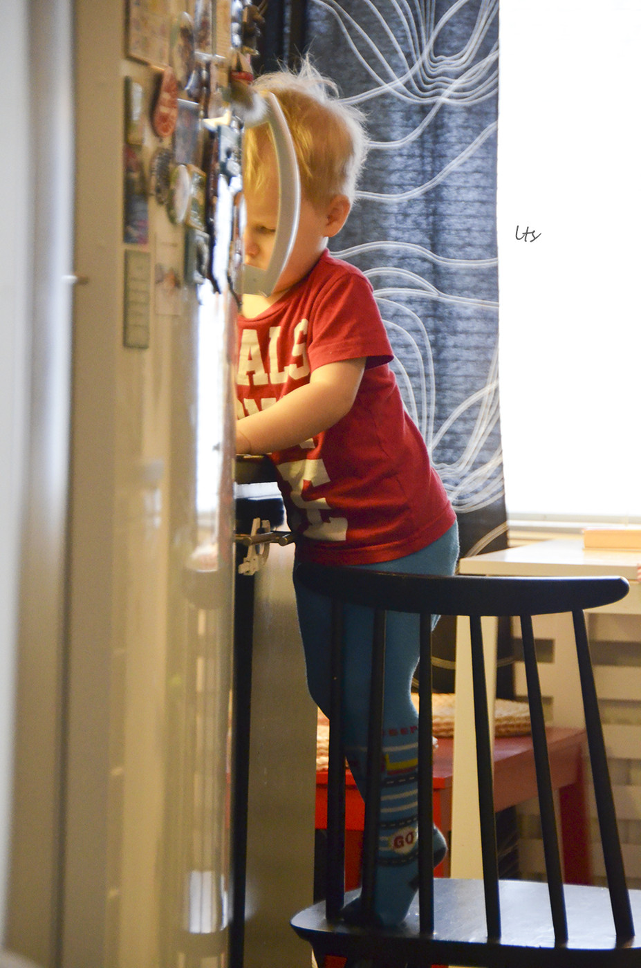 KMN_8423.JPG