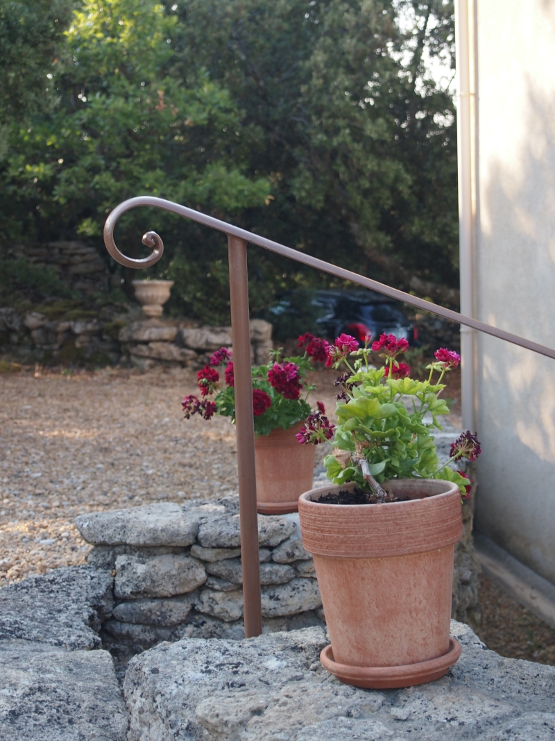 provence_viens_pelargonit.jpg