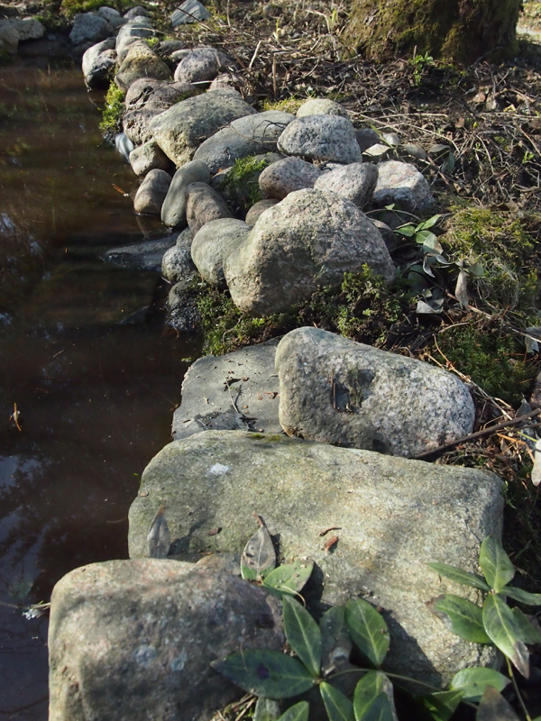 20160424_marjapensaiden_kanttaus - 5.jpg